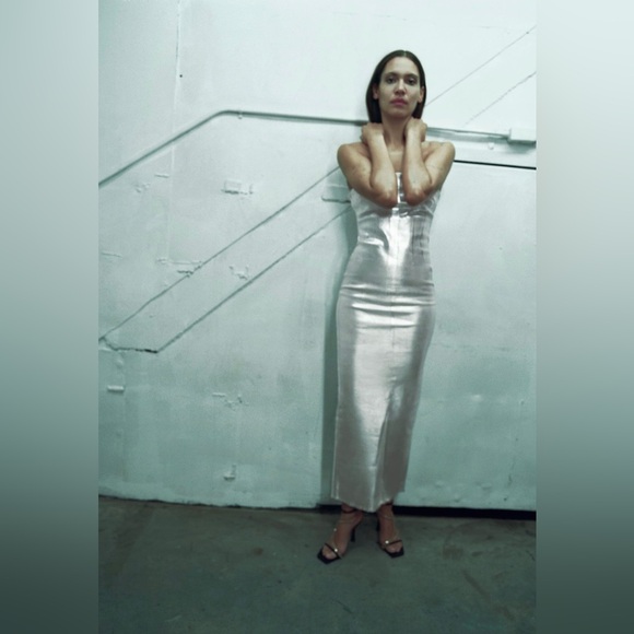 Zara Dresses & Skirts - 🌟NWT🌟Zara Fitted Metallic Dress